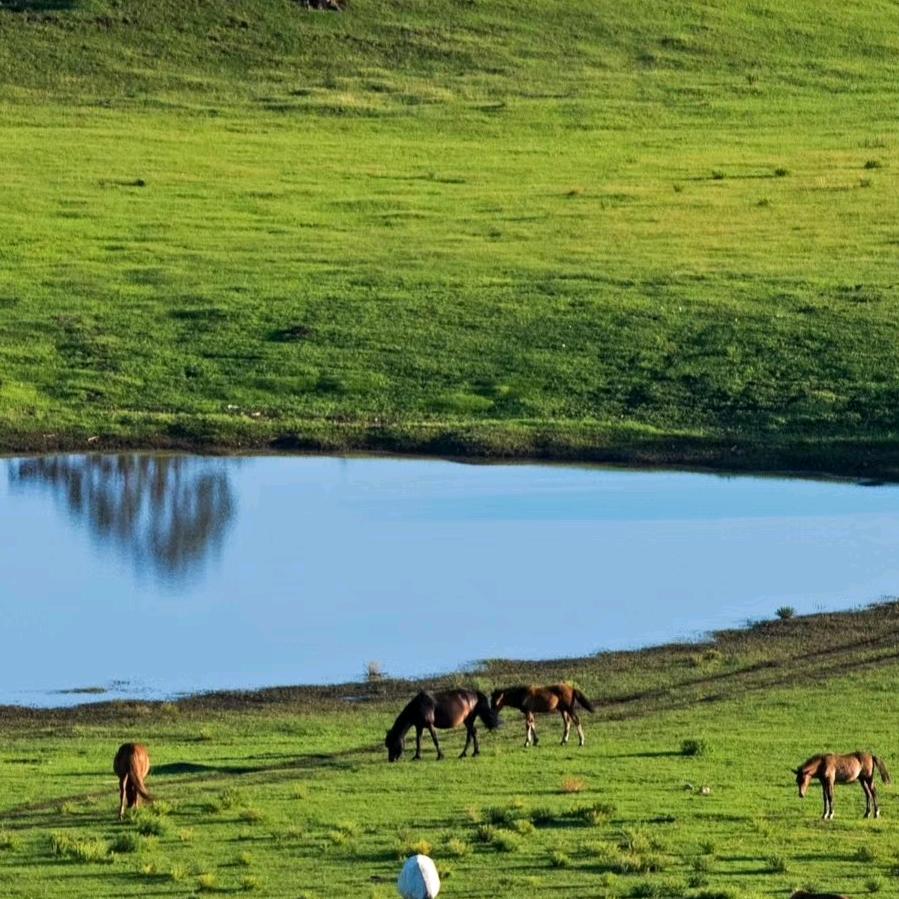 船到桥头自然直