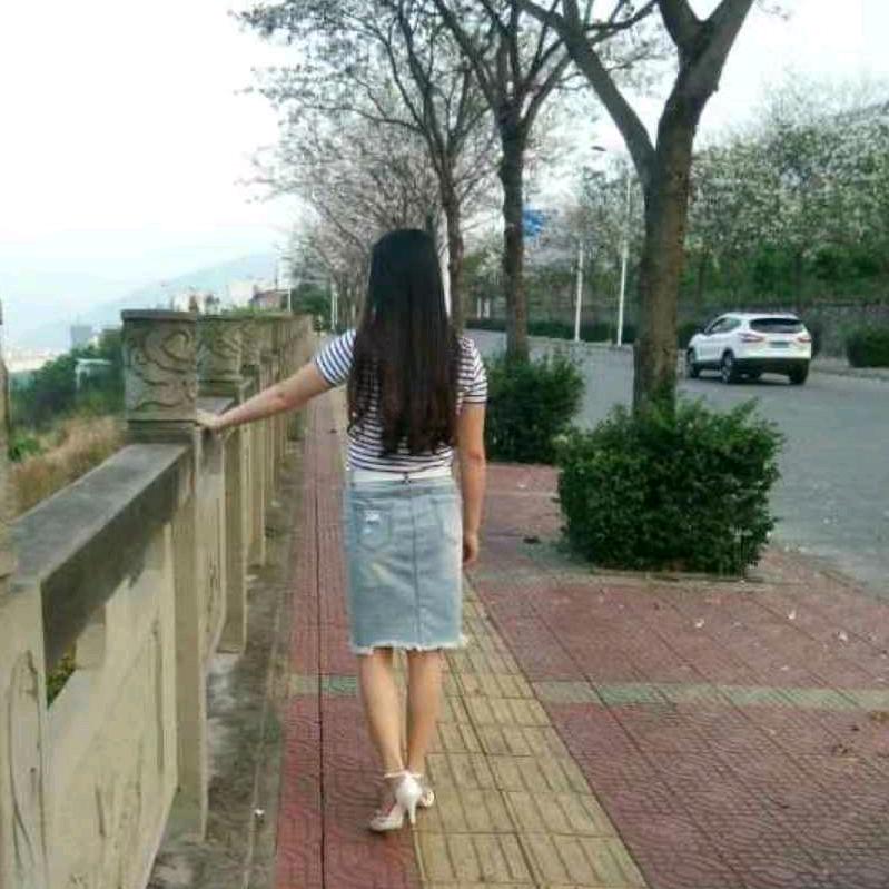 🌸山茶花读不懂白玫瑰
