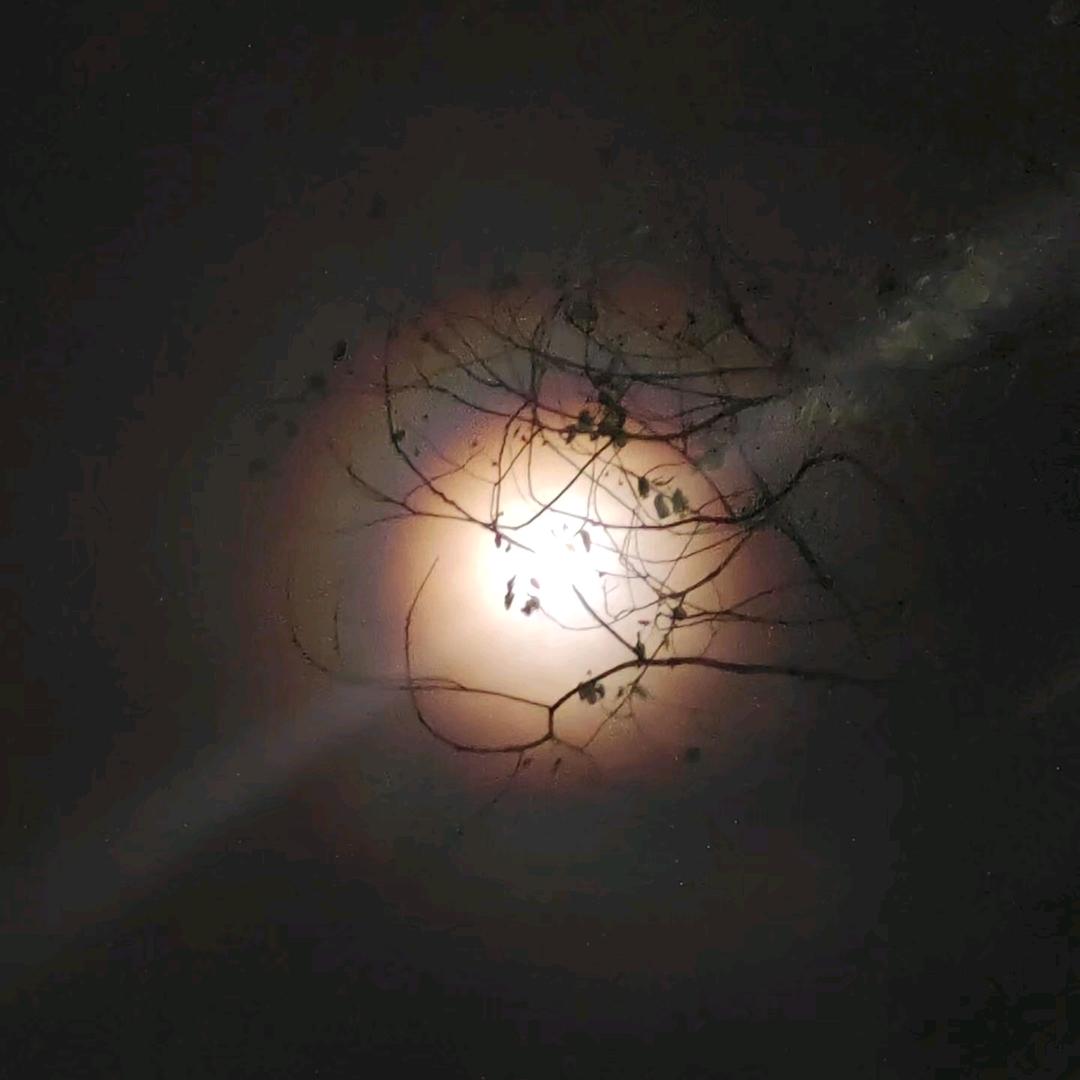 🌈🌈梵墨🌈🌈