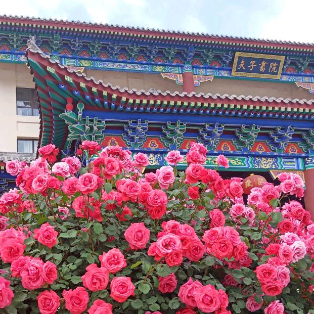 道渠成自然