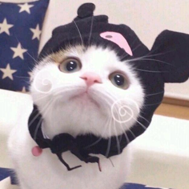 菲菲妈妈