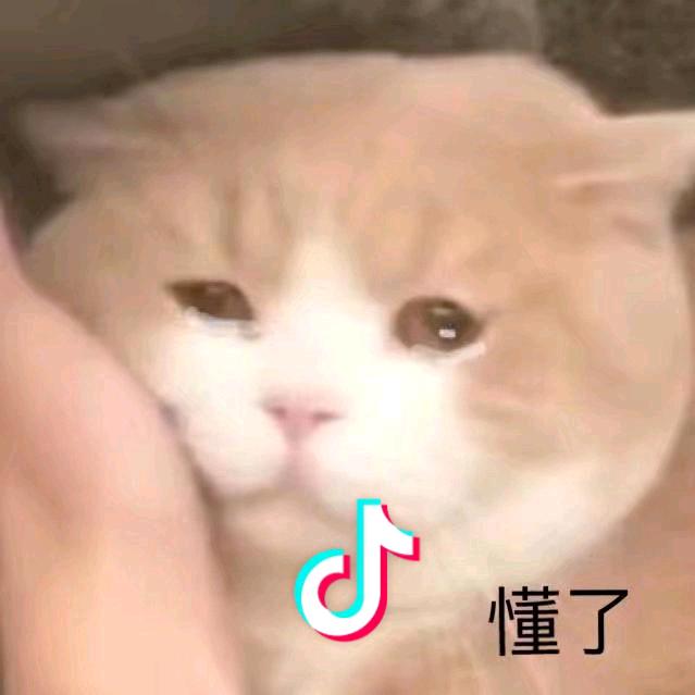 床床头像