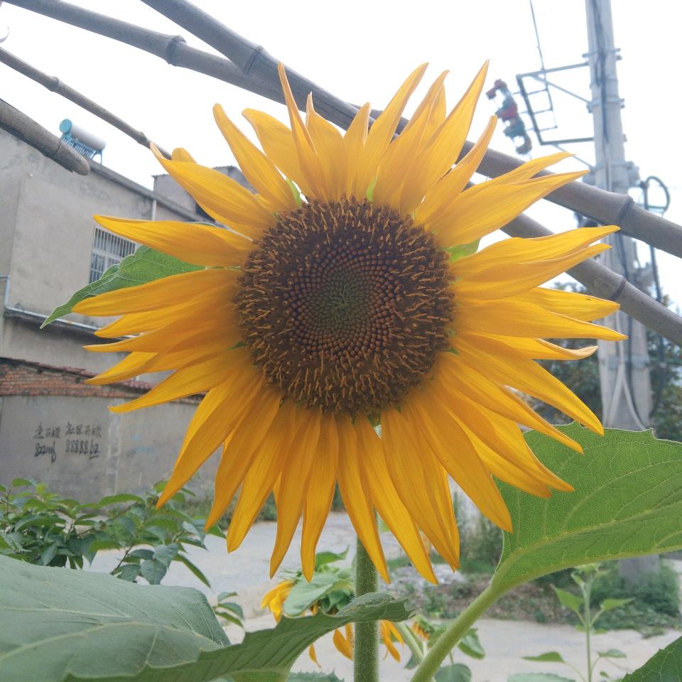 ॣღᩚ余生🍀ꦿ好运এ꧔ৡ