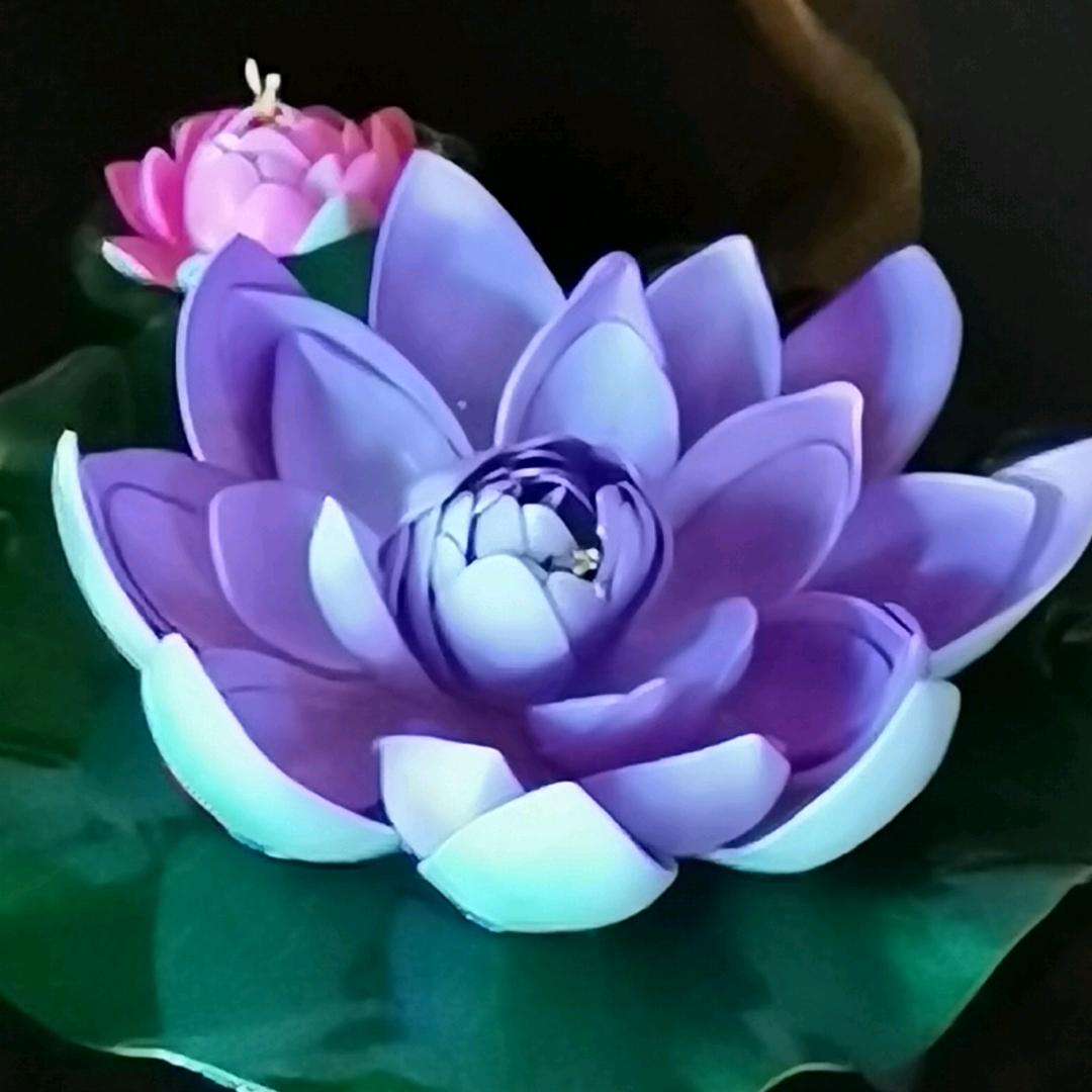 莲花心灵 （ 57年正月D🐔）