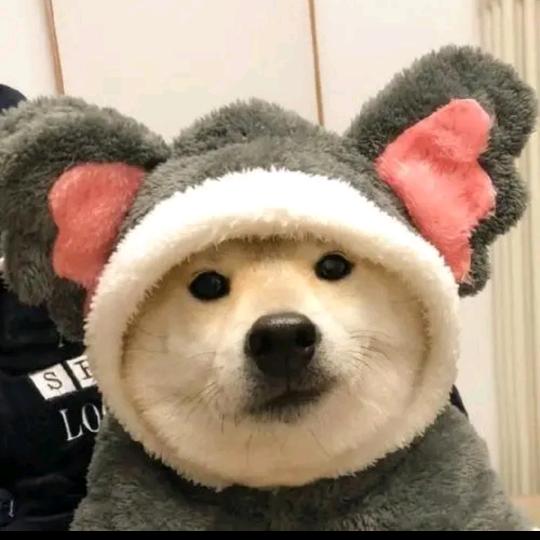 铅～笔
