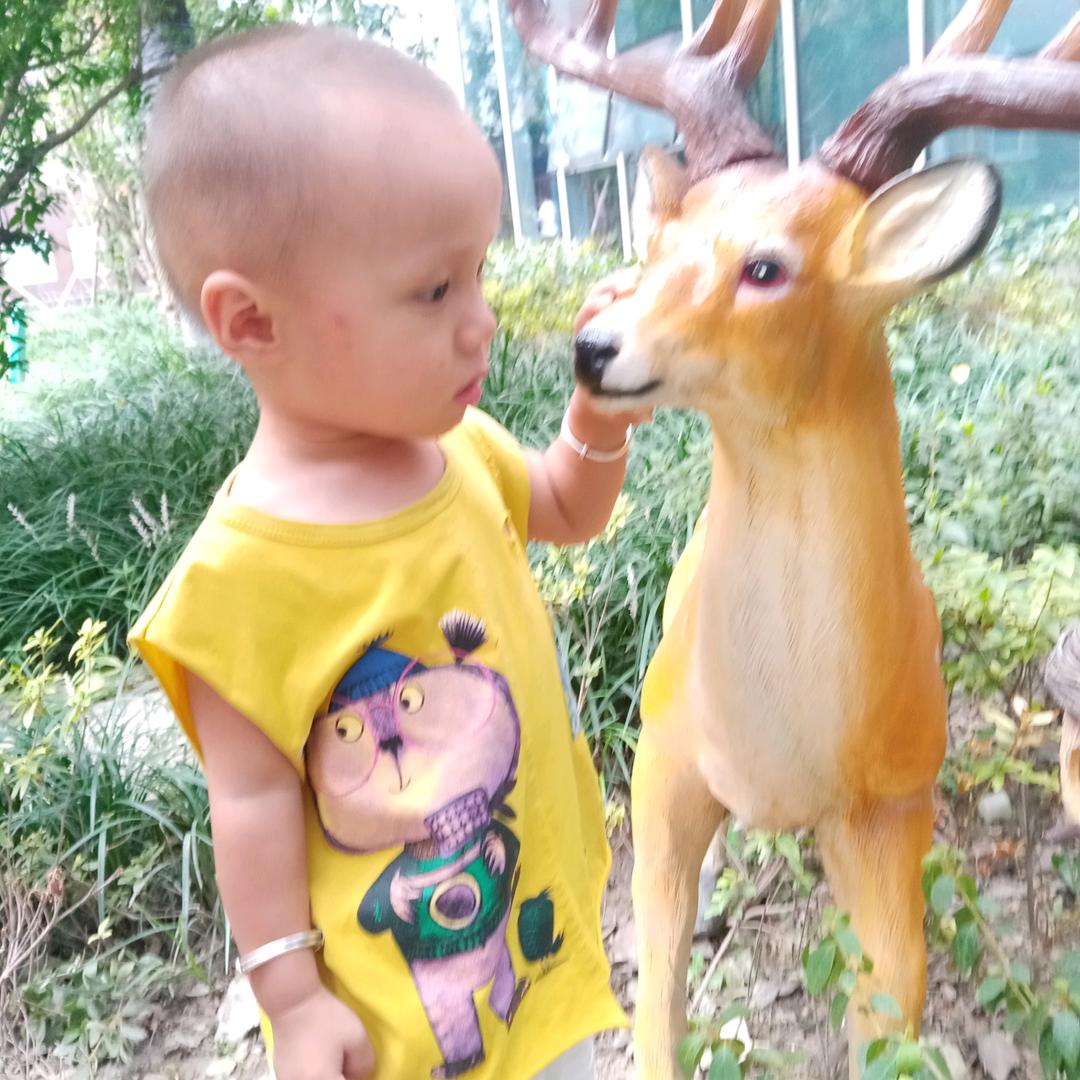 李元华