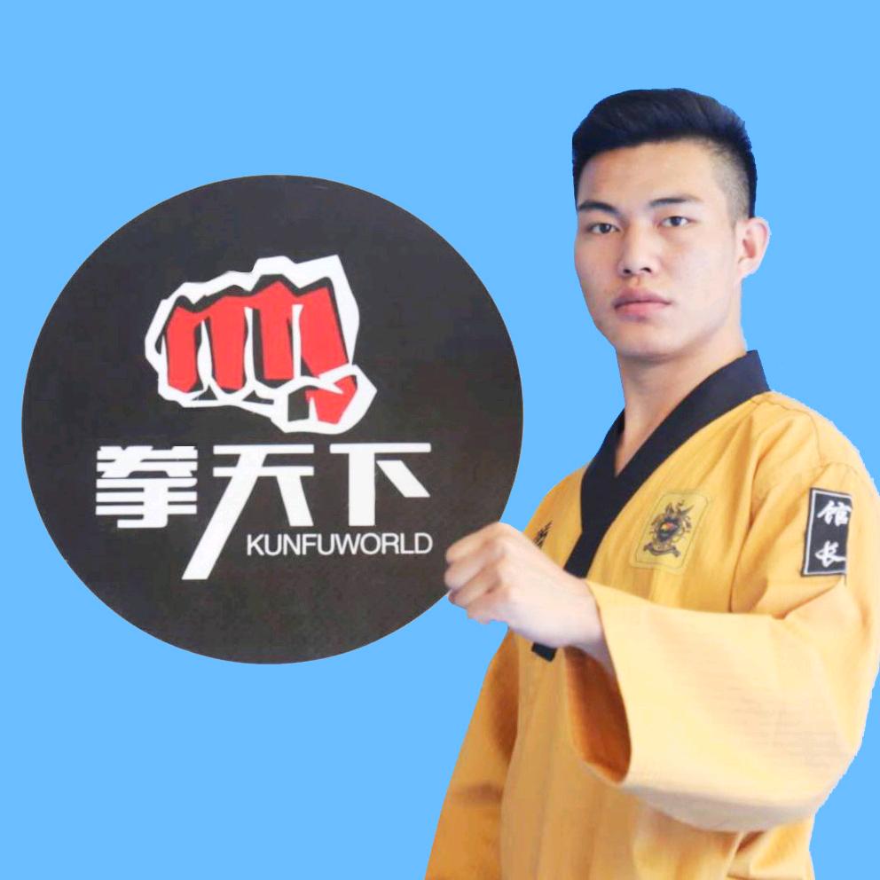 拳天下武道