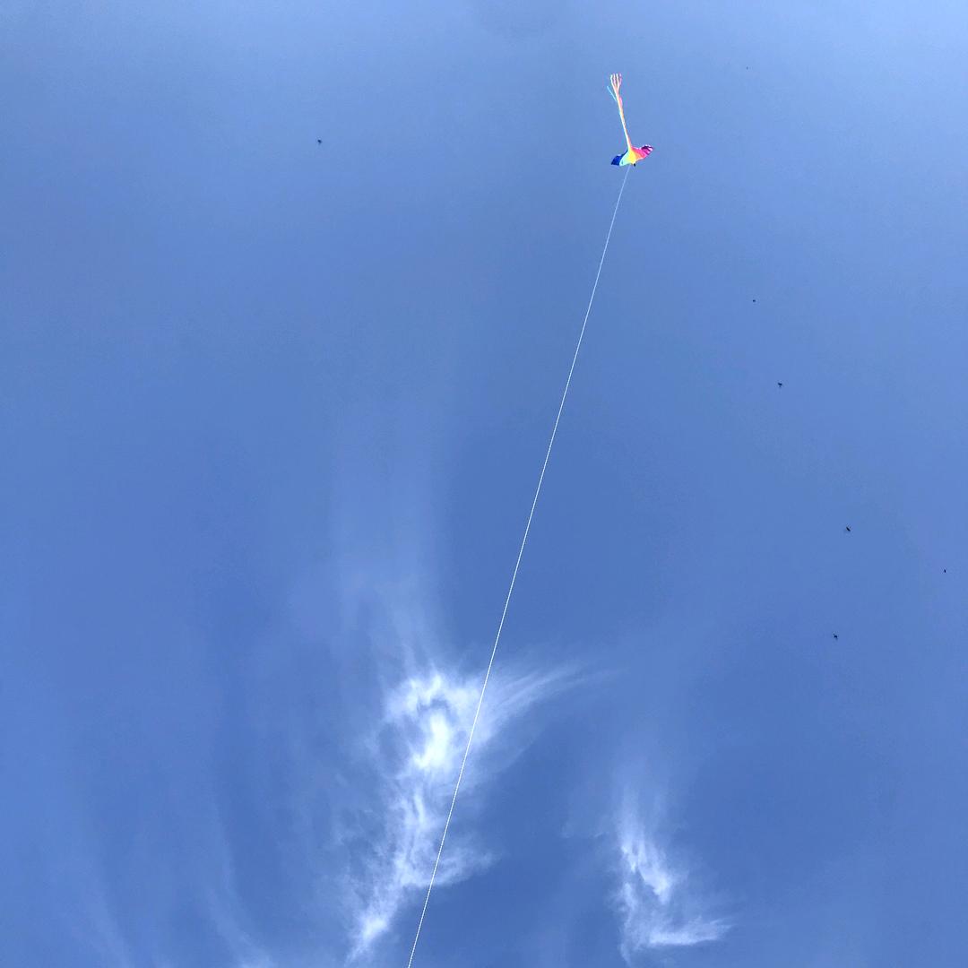 ᝰ一隅香茗⸙ོ