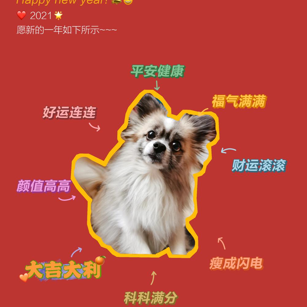 捏哈