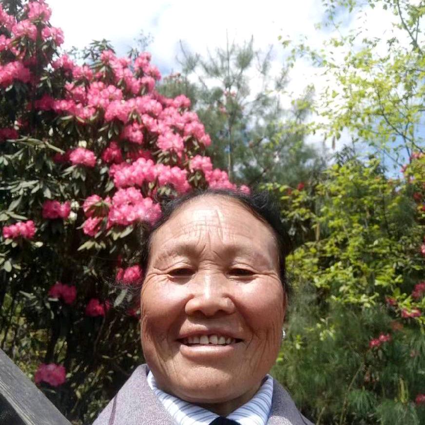 陈忠碧