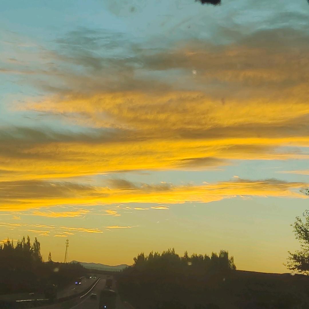 河南🇨🇳小伟