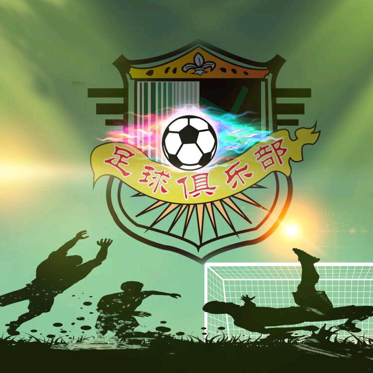 百色学院足球俱乐部、足球协会