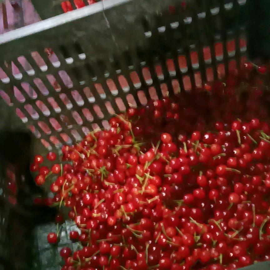 随缘