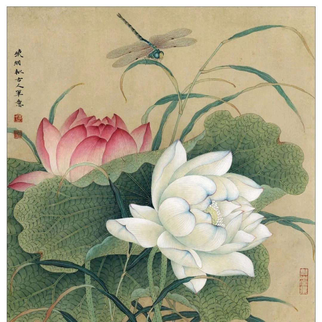 ChristineT婷🦋