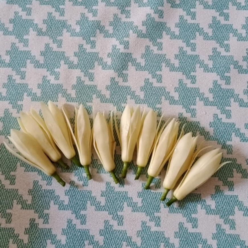 小东子