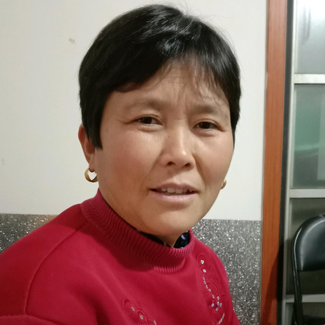 杨照平