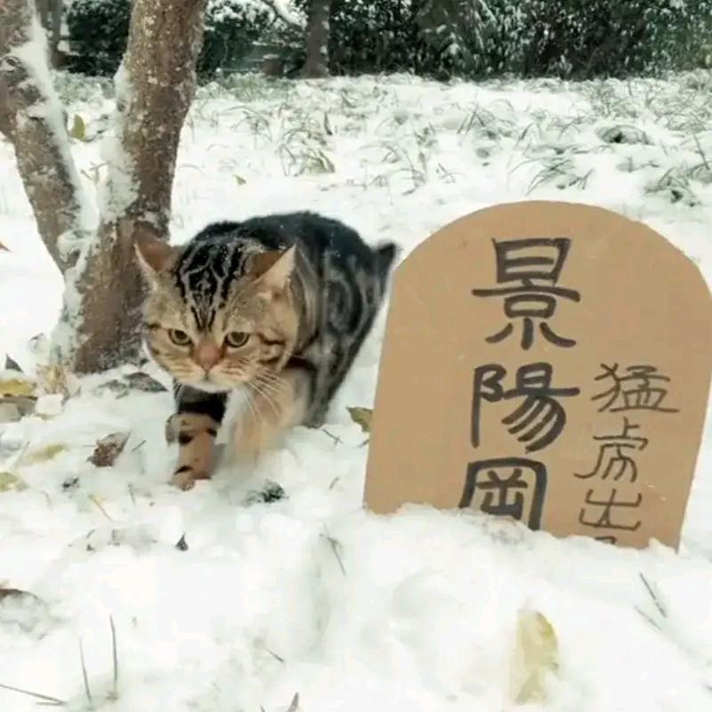 边锋