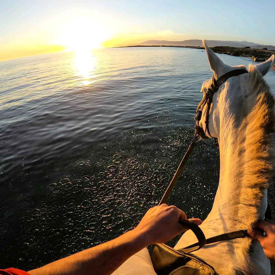 ༊ི 海 洋 ࿐ོོོོ