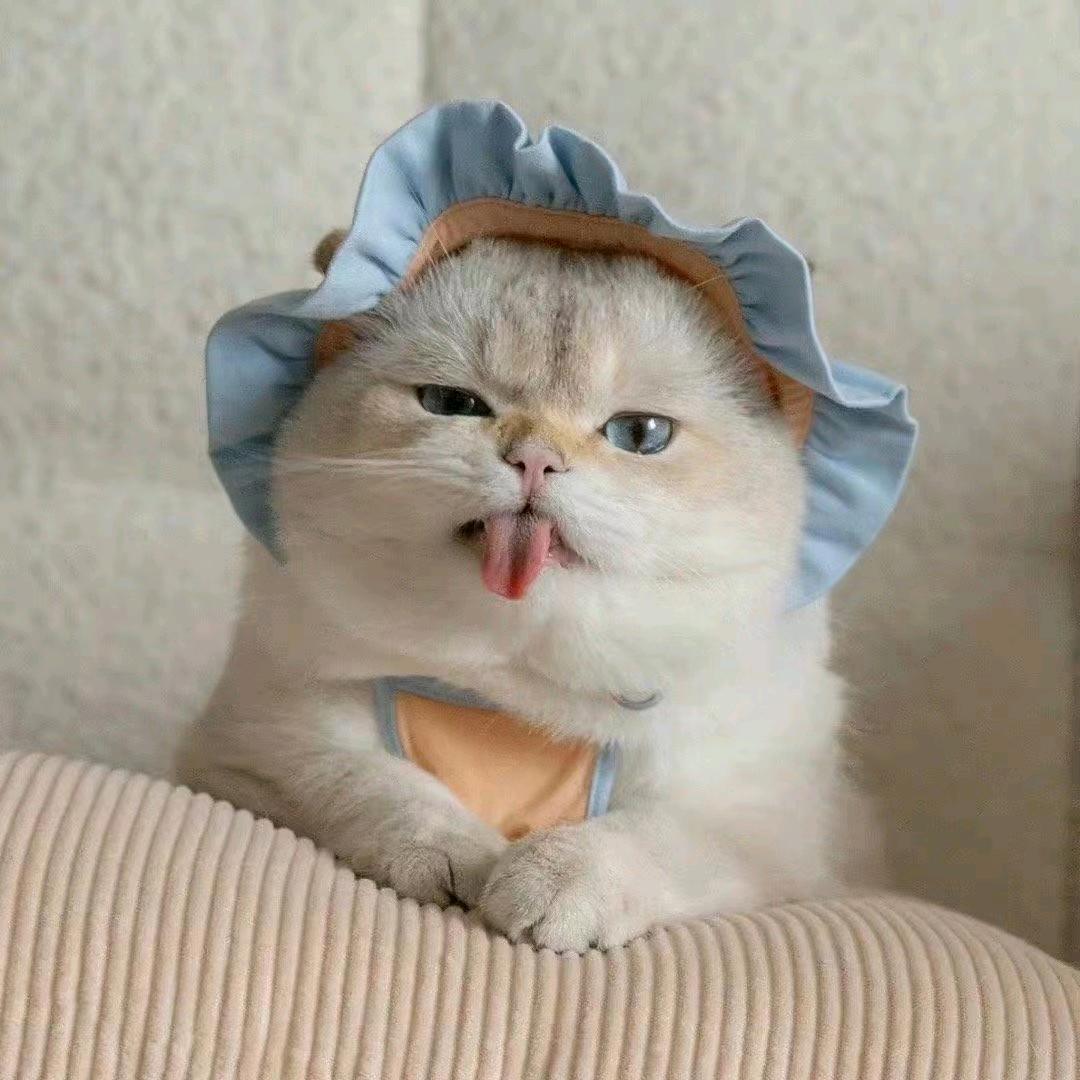 手机用户72396219548