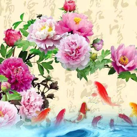 相识就是一种缘份