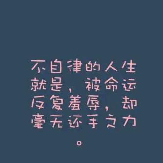 飞翔的自由