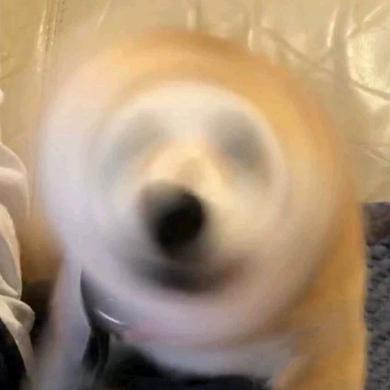 不做大哥好多年