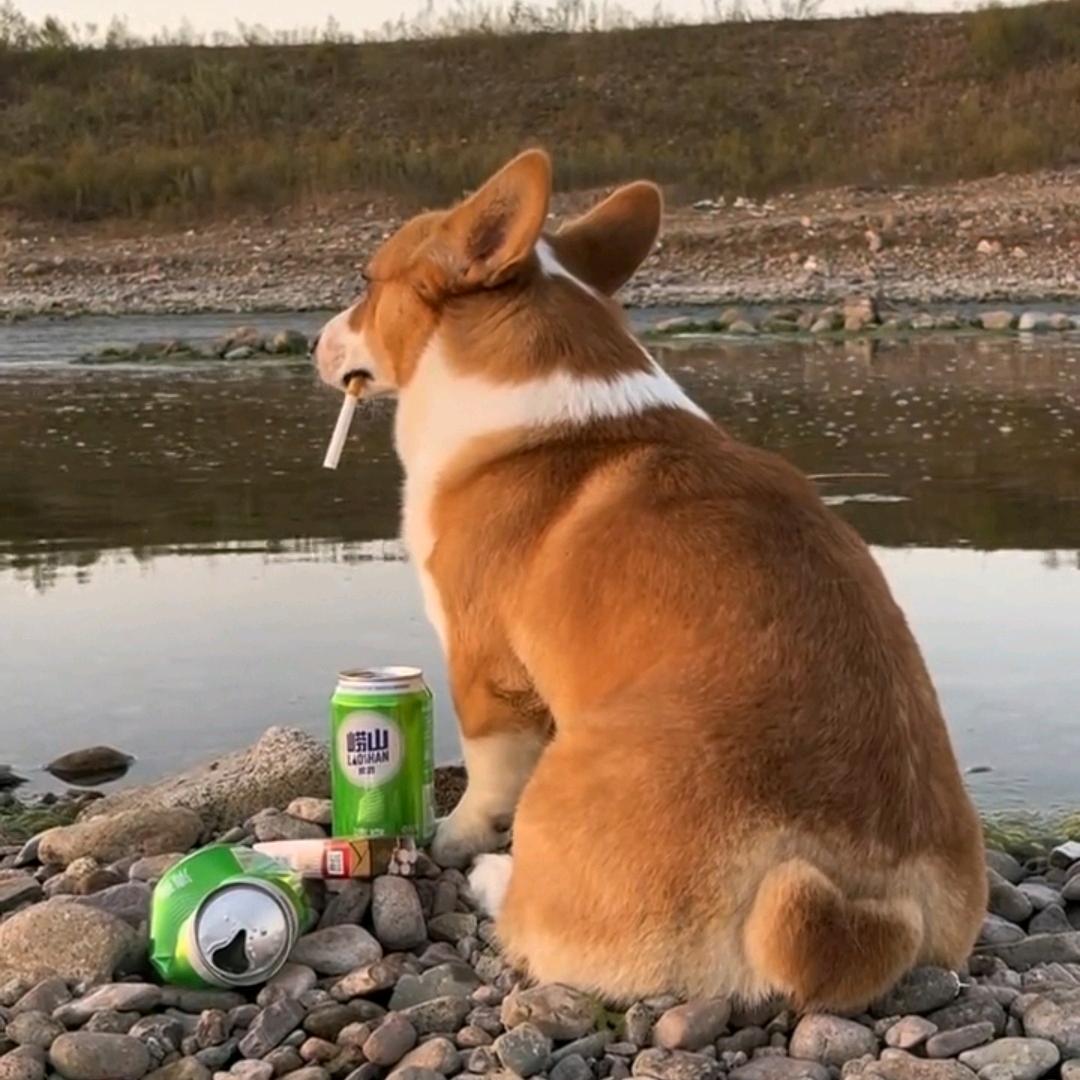 小瓜子