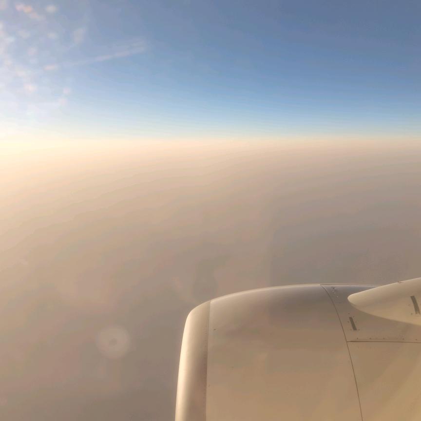 海✓