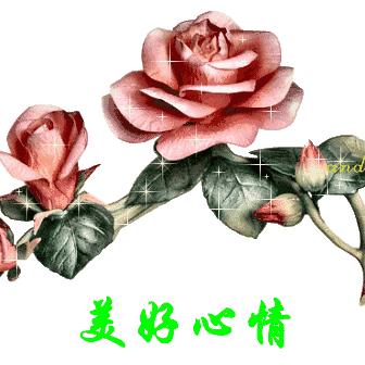 幸福人生(刚刚好)