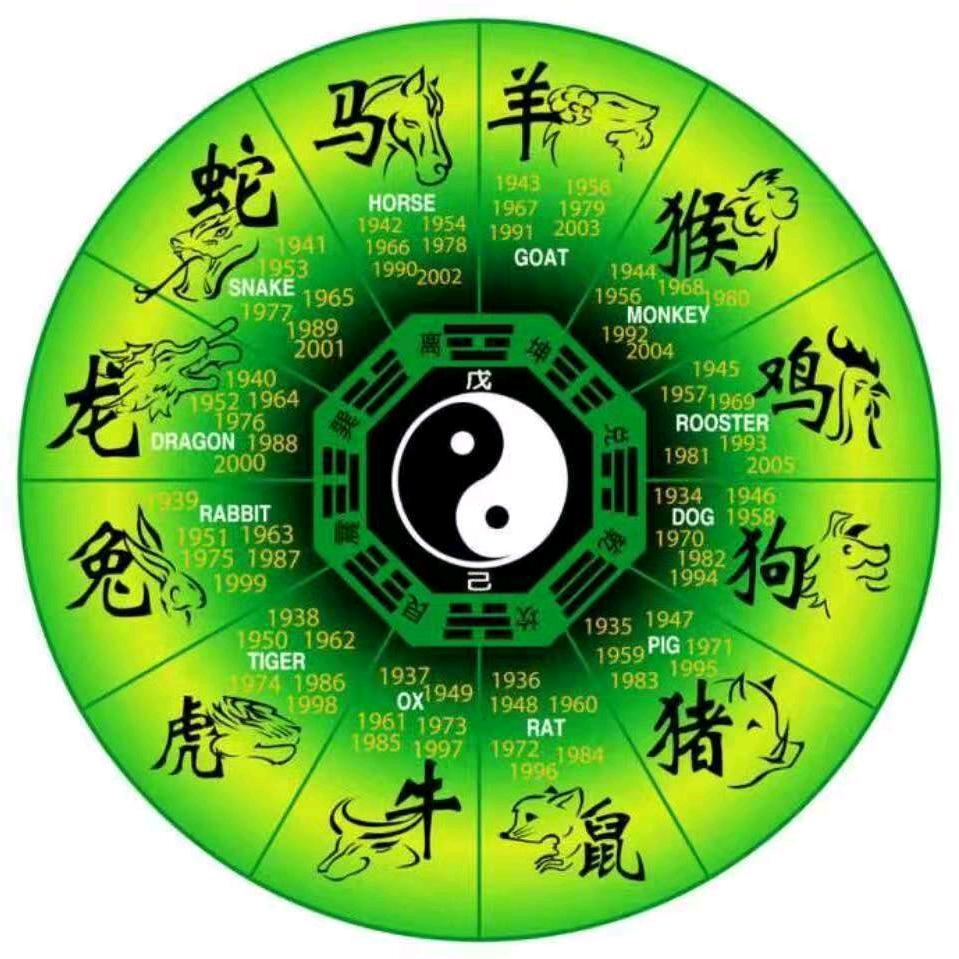 姚家道法自然