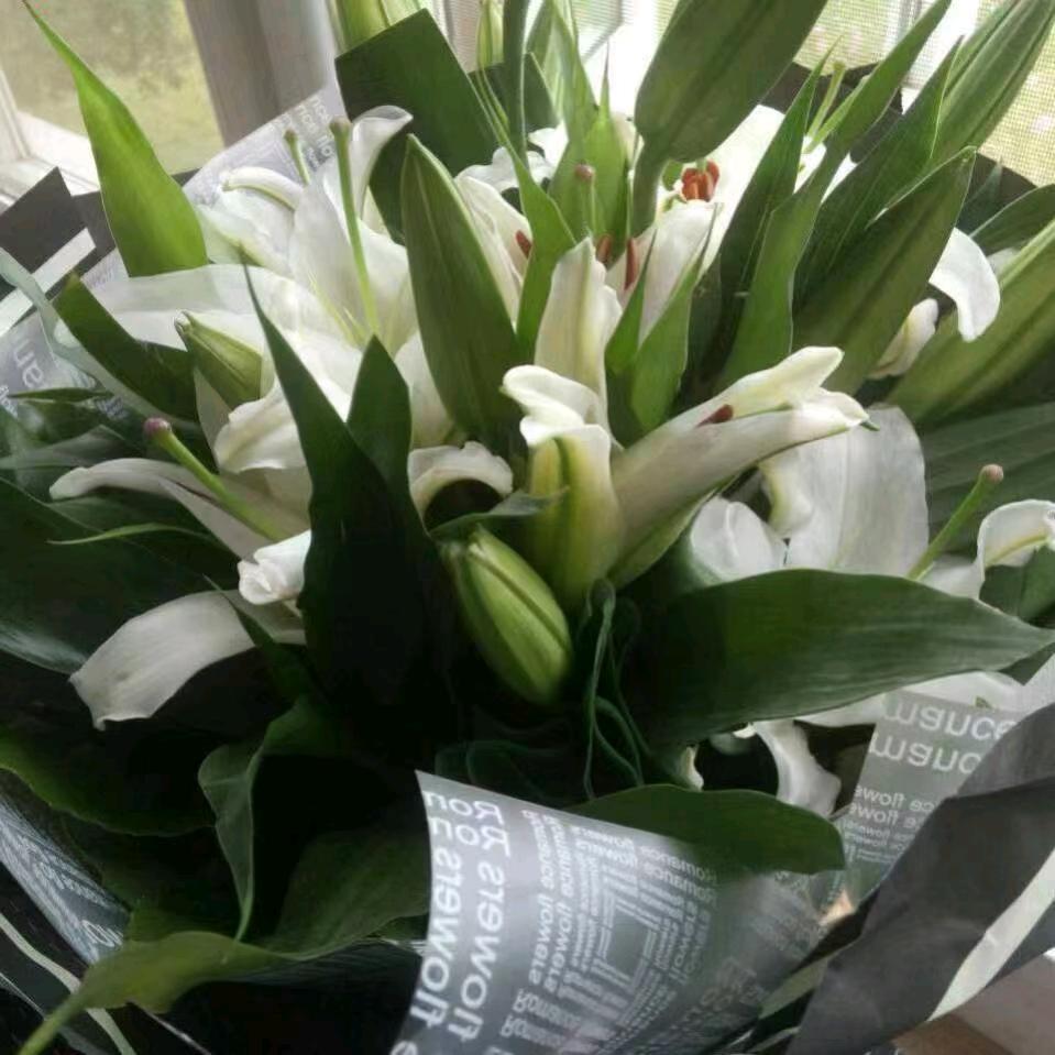 看淡人生……！