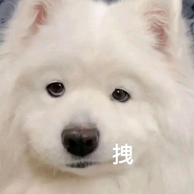 鑫包砸🌈
