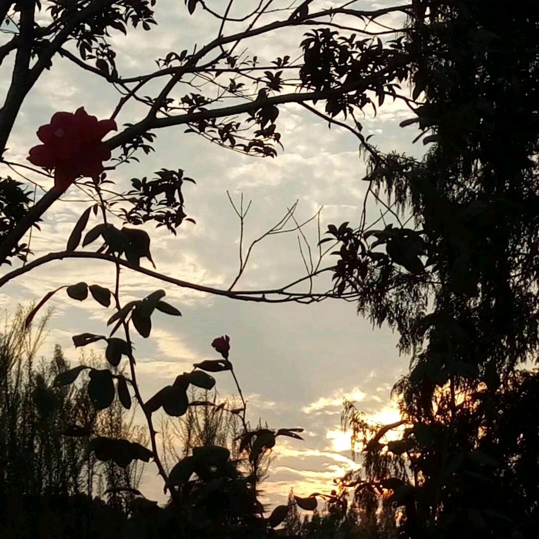 ಇ邂逅🍒灿烂 ജഒᩚ࿐