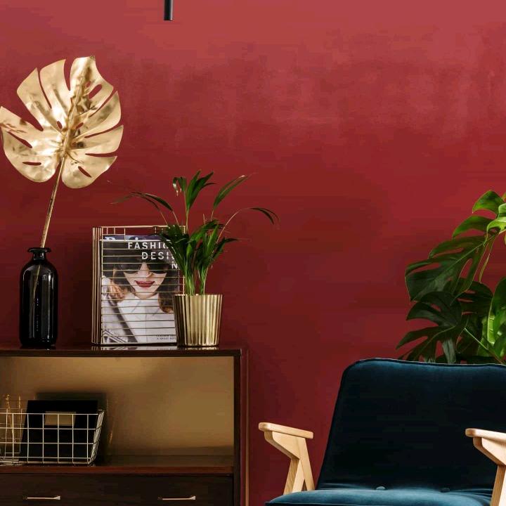 用户9643869668741