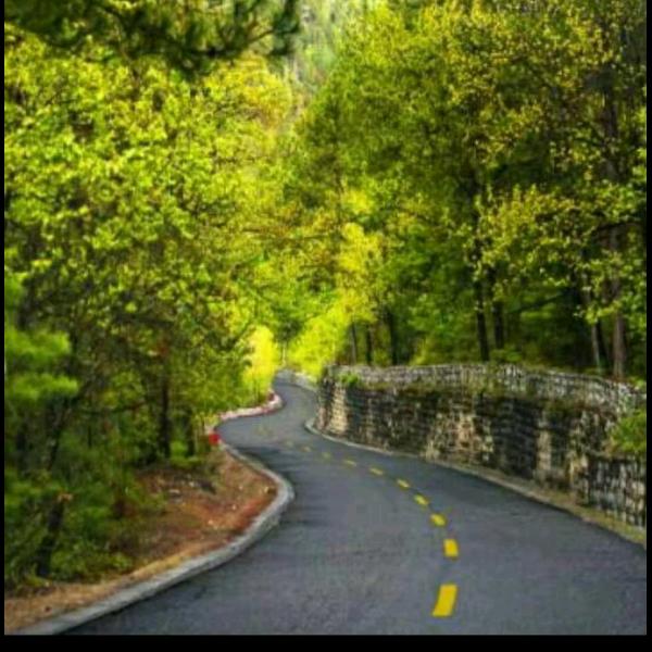 坚守无限的爱，拒绝连赞