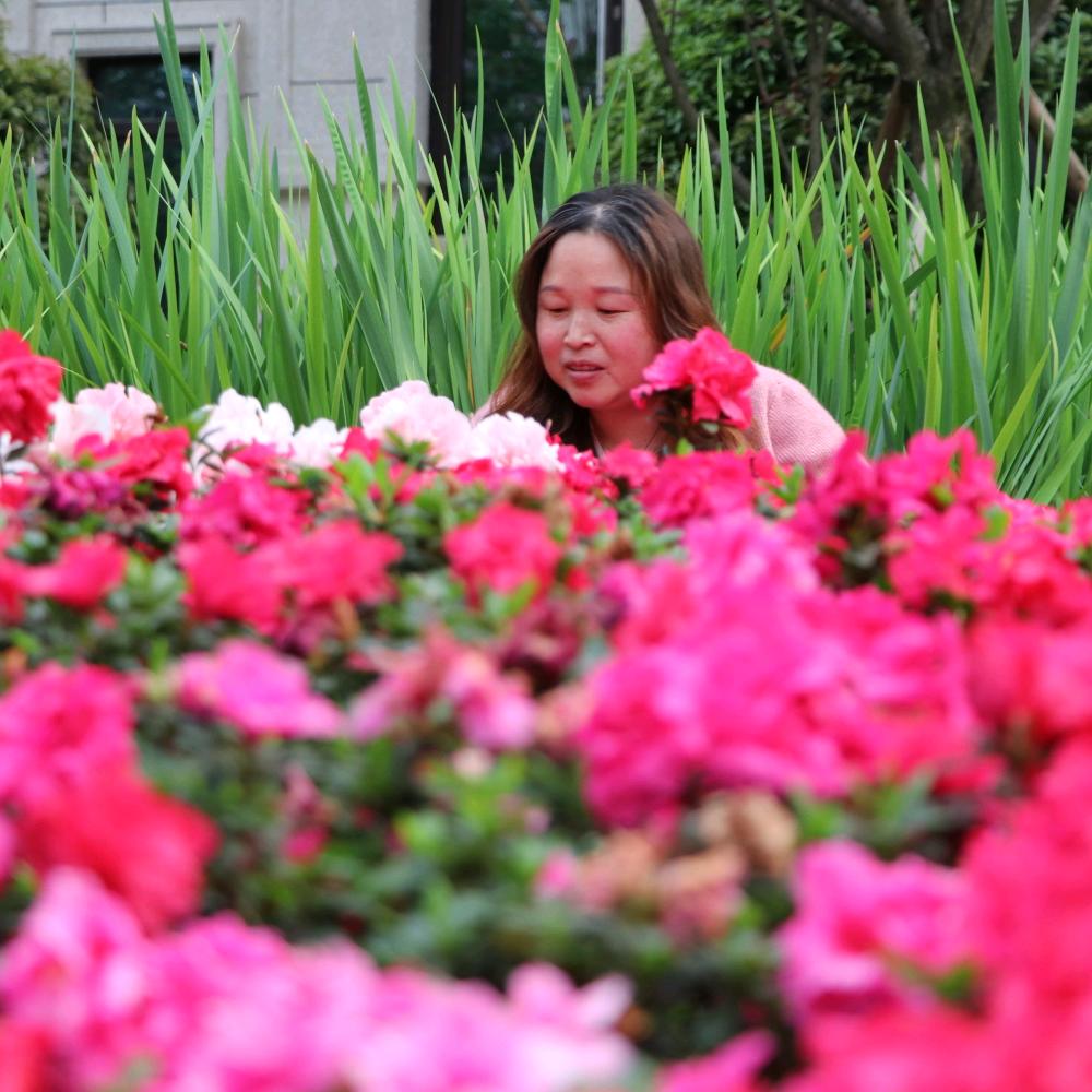 唯派门窗韩成丽