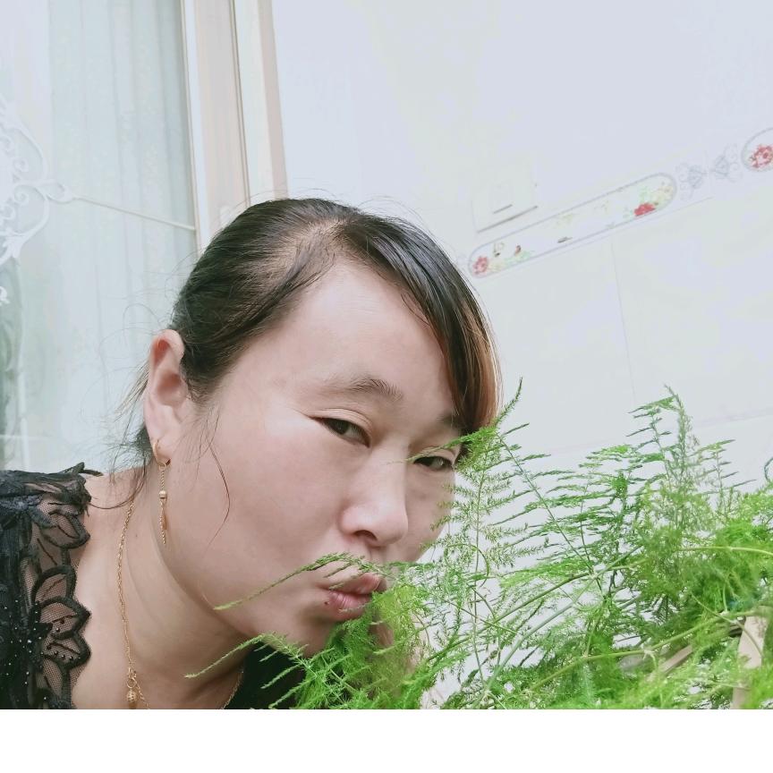 农村田姐