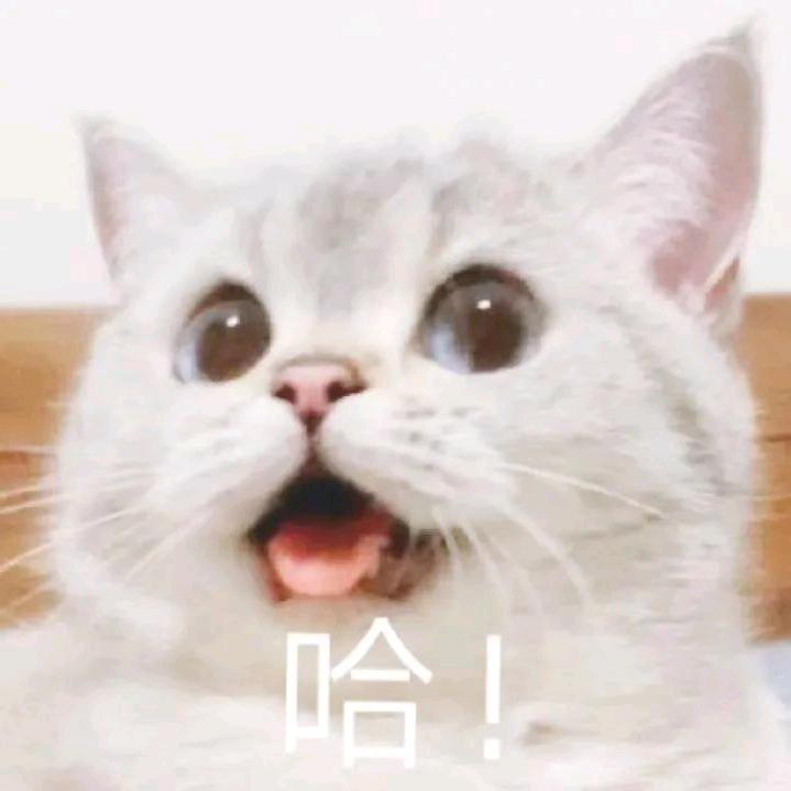 朱