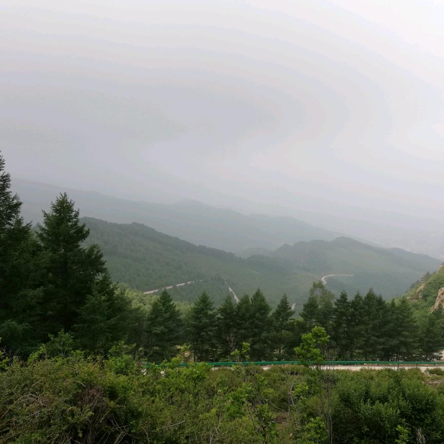 醉笑清风