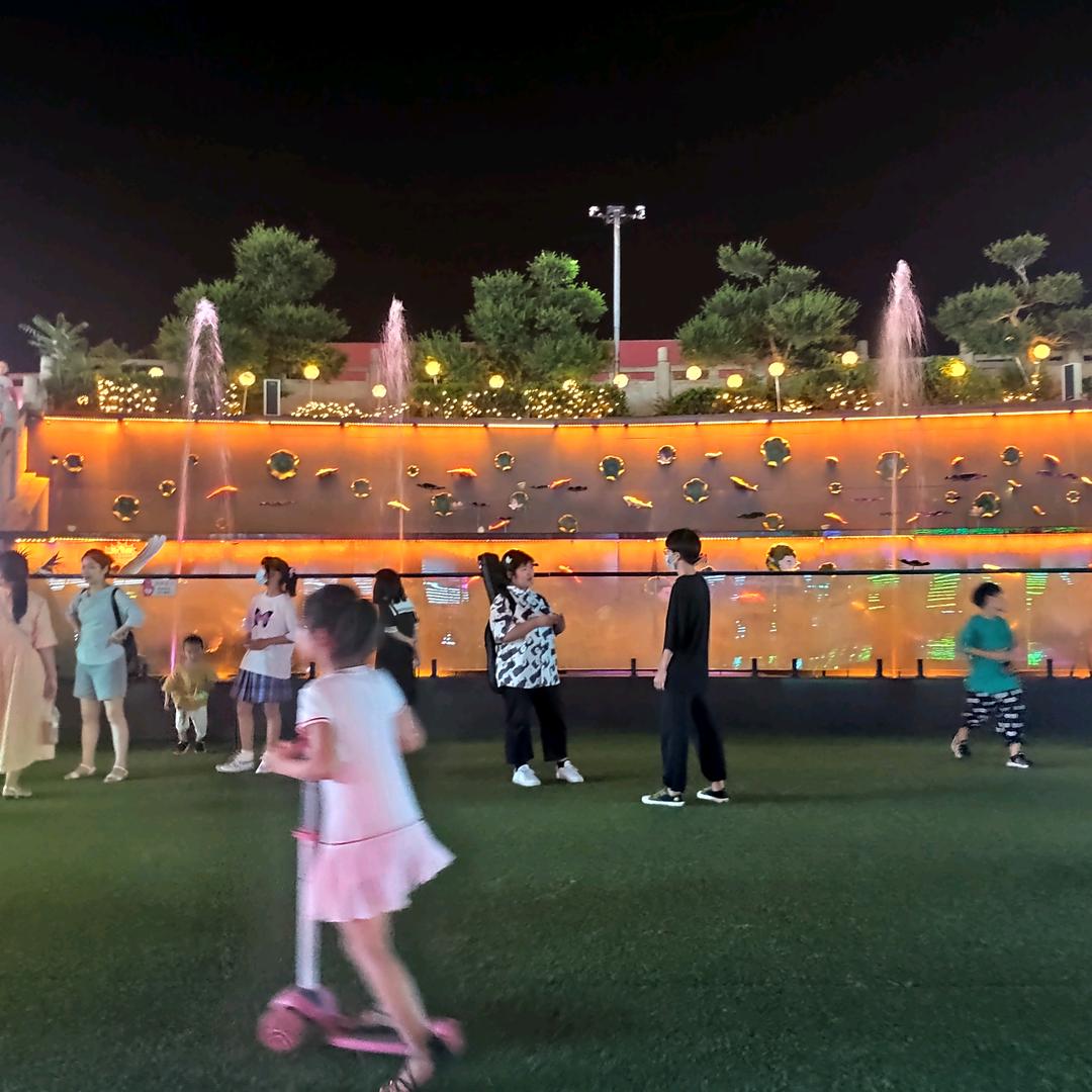 无心尘境