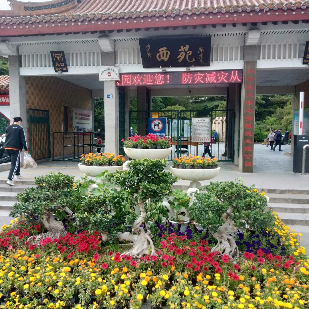 欢乐的小鸟祝你天天开心🌷