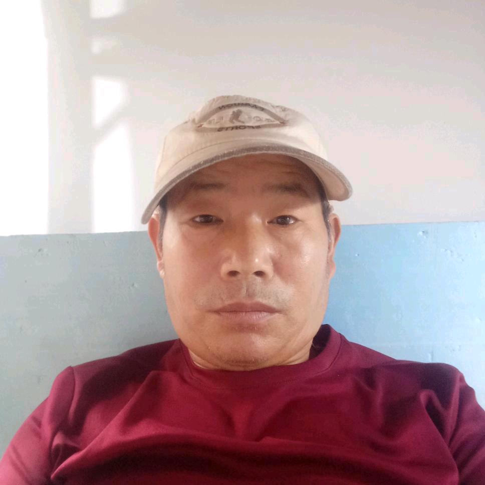 无限向往自由