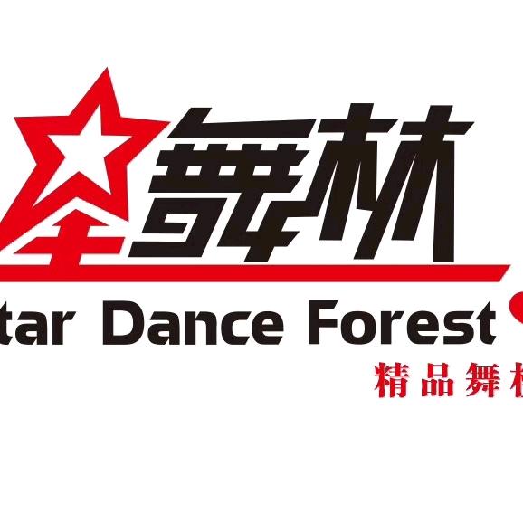 星舞林舞蹈学校