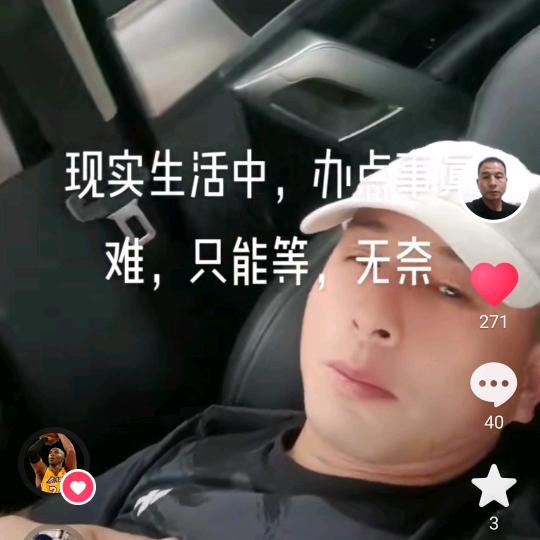园林绿化张成理