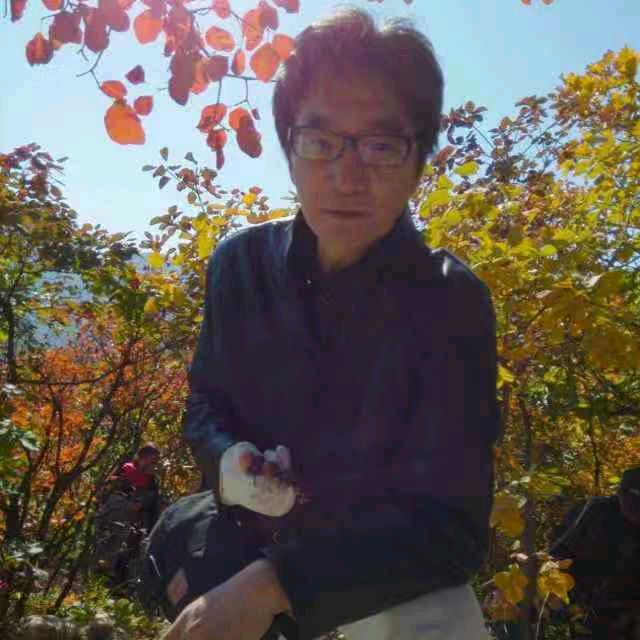 顶狮子的老牛