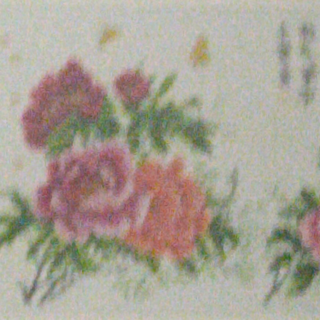 朱克菊，段德程我的世界中的玩家我多