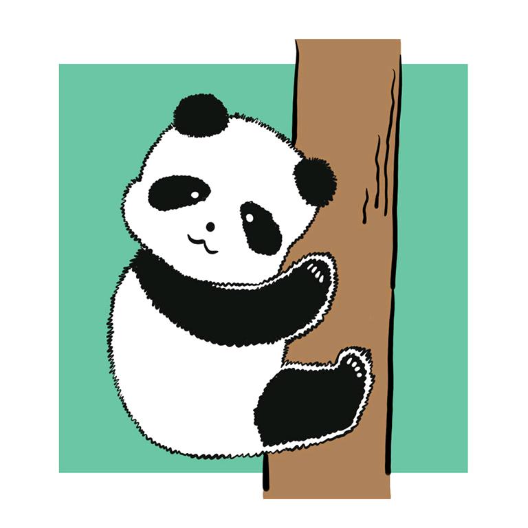 风车