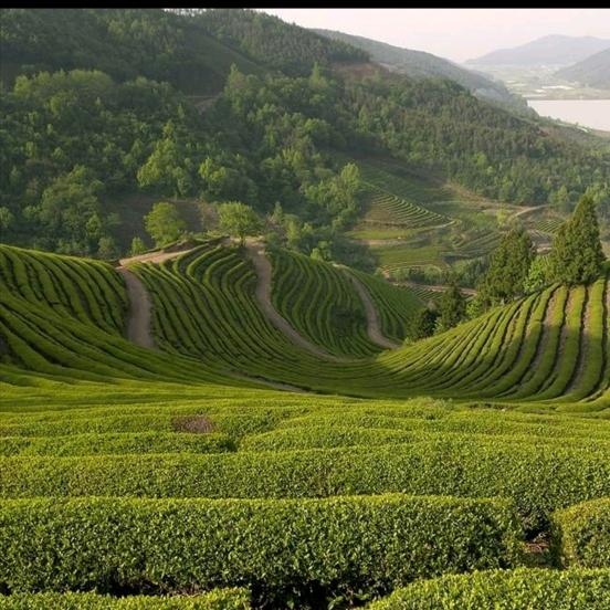 🌈坚持到底🌈