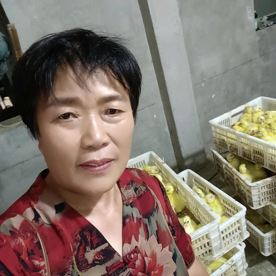 沭阳县宿扬壹号鹅鸭养殖专业合作社