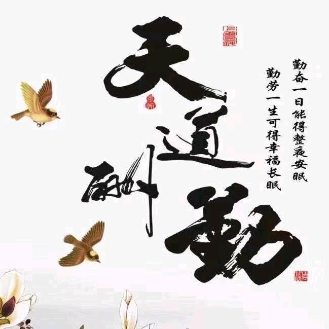 孤狼（厨窗好物）